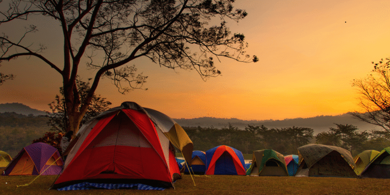 10 campings imperdíveis no Brasil – descubra quais são pet friendly